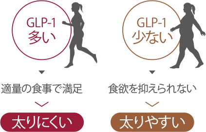 太りにくい・太りやすい